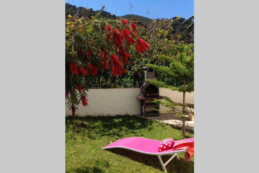 Apartment La Pena Rojo Wifi Tarifa Extérieur photo